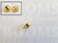 Chicago screws gold nr. 1   A= screw-head Ø 10 mm, B= screw-tube length 3,5 mm, C= Ø 5 mm  (per 10 pcs.) - pict. 2