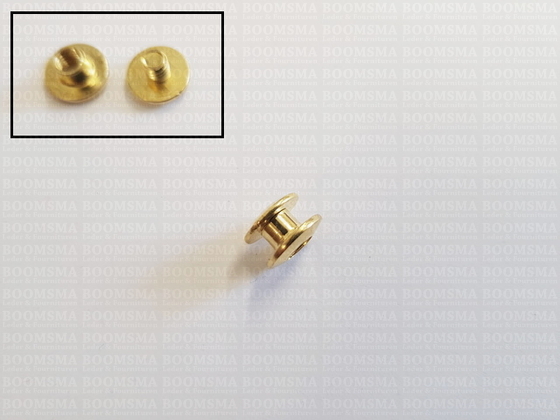 Chicago screws gold nr. 1   A= screw-head Ø 10 mm, B= screw-tube length 3,5 mm, C= Ø 5 mm  (per 10 pcs.) - pict. 3
