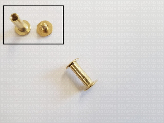 Chicago screws gold nr. 2   A= screw-head Ø 10 mm, B= screw-tube length 15 mm, C= Ø 5 mm  (per 10 pcs.) - pict. 4