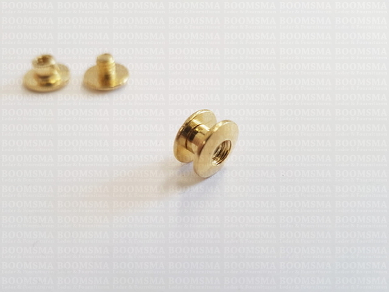 Boekschroeven goud nr. 0   A= kop Ø 10 mm, B= schroefbus lengte 2 mm, C= Ø 5 mm  (per 10 st.) - afb. 2