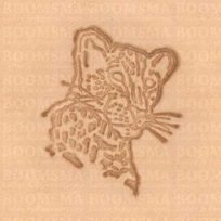 2D & 3D stamps fish, wild animals Leopard