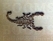 2D & 3D stamps fish, wild animals scorpion - pict. 2