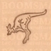 kangaroo (jumping)