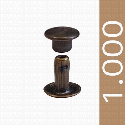 Rivets: Rivets 33 Single cap antique brass plated 33/8 per 1.000 - pict. 1