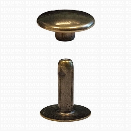 Rivets: Rivets 36 Single cap antique brass plated 36/10 per 100 - pict. 1