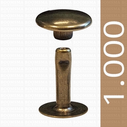 Rivets: Rivets 36 Single cap antique brass plated 36/12 per 1.000 - pict. 1