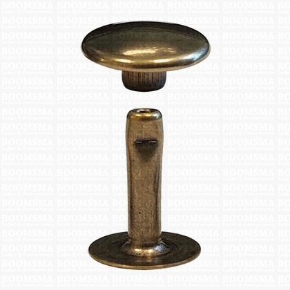 Rivets: Rivets 36 Single cap antique brass plated 36/12 per 100 - pict. 1