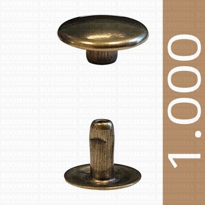Rivets: Rivets 36 Single cap antique brass plated 36/8 per 1.000 - pict. 1