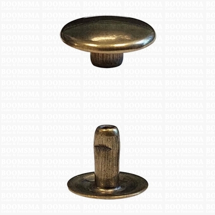 Rivets: Rivets 36 Single cap antique brass plated 36/8 per 100 - pict. 1