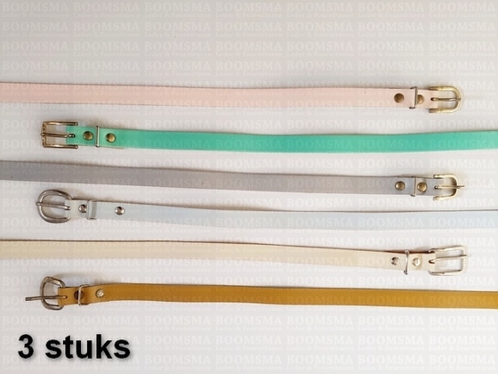 Assortment Belts 14 mm variation of colours  (3 belts) - pict. 1