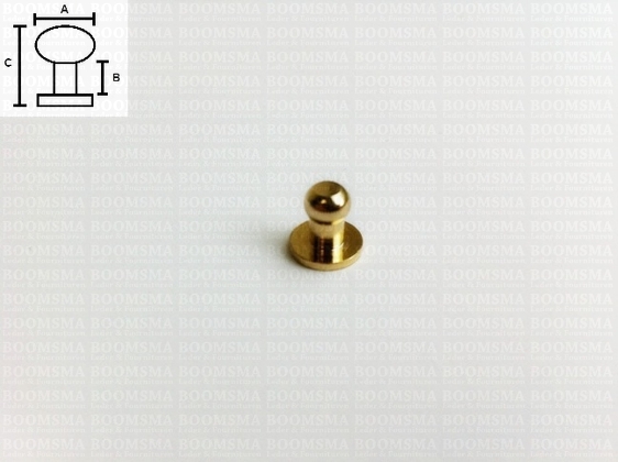 Button studs gold SMALL  A: bal Ø 5 mm - B: 3 mm, C: total height 8 mm  (per 10) - pict. 2