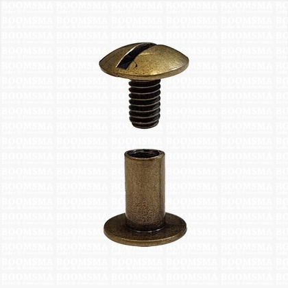 Chicago screws antique brass plated nr. 11  (per 10 pcs.) - pict. 1