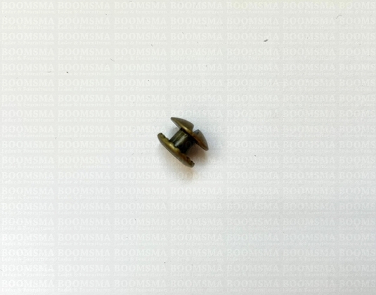 Chicago screws antique brass plated nr. 4  (per 10 pcs.) - pict. 4