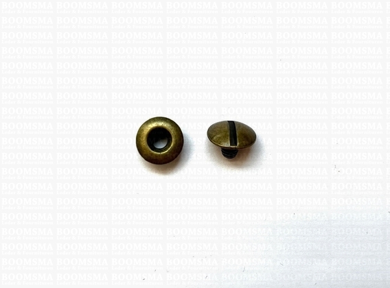 Chicago screws antique brass plated nr. 4  (per 10 pcs.) - pict. 1