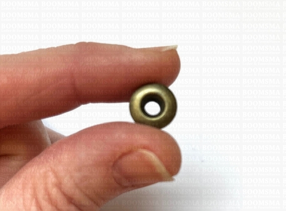 Chicago screws antique brass plated nr. 4  (per 10 pcs.) - pict. 3
