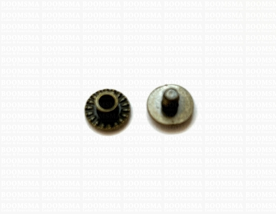 Chicago screws antique brass plated nr. 4  (per 10 pcs.) - pict. 5
