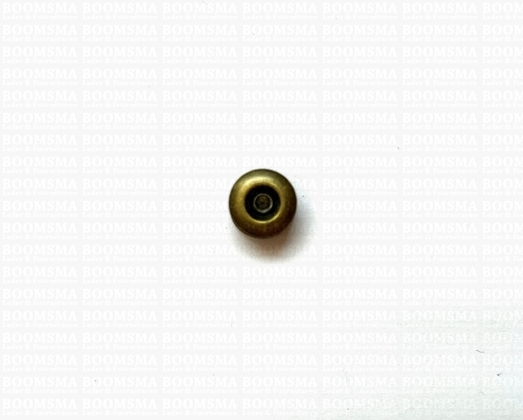 Chicago screws antique brass plated nr. 4  (per 10 pcs.) - pict. 2
