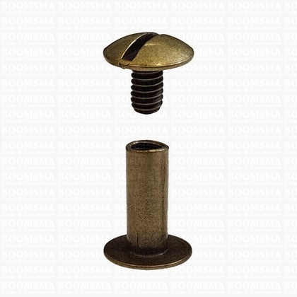 Chicago screws antique brass plated nr. 15  (per 10 pcs.) - pict. 1