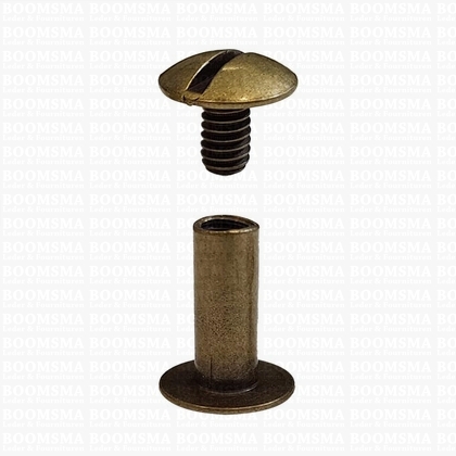 Chicago screws antique brass plated nr. 15   A= screw-head Ø 11 mm, B= screw-tube length 13 mm, C= Ø 5 mm  (per 10 pcs.) - pict. 1