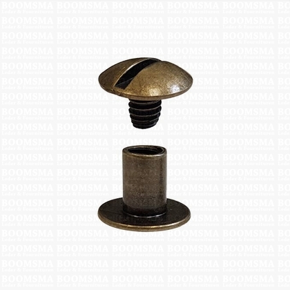 Chicago screws antique brass plated nr. 9  (per 10 pcs.) - pict. 1