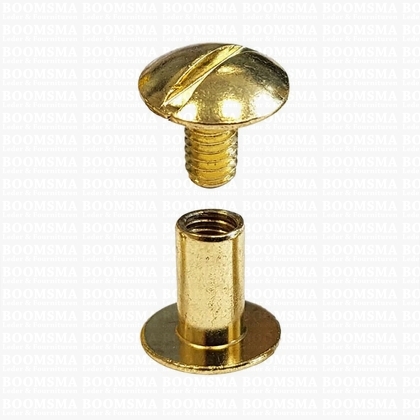 Chicago screws gold nr. 11  (per 10 pcs.) - pict. 1