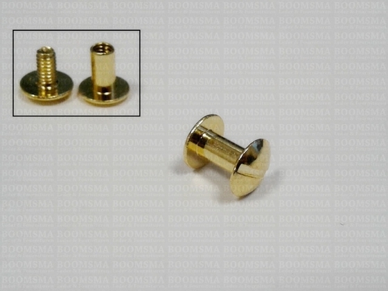 Chicago screws gold nr. 11  (per 10 pcs.) - pict. 2