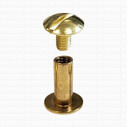 Chicago screws gold nr. 15  (per 10 pcs.) - pict. 1