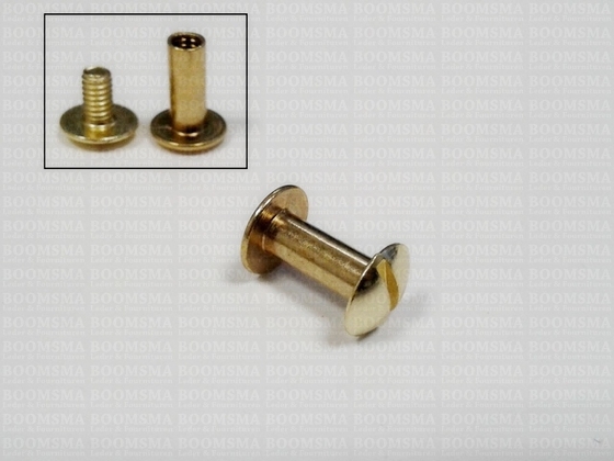 Chicago screws gold nr. 15  (per 10 pcs.) - pict. 2