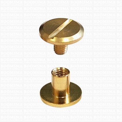 Chicago screws gold nr. 5  (per 10 pcs.) - pict. 1