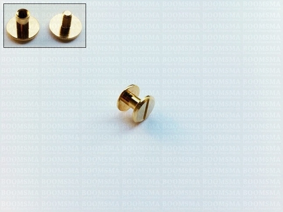 Chicago screws gold nr. 5  (per 10 pcs.) - pict. 2