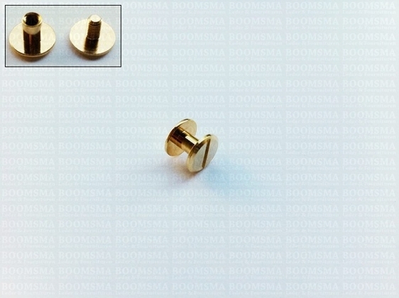 Chicago screws gold nr. 5   A= screw-head Ø 9 mm, B= screw-tube length 5 mm, C= Ø 4 mm (per 10 pcs.) - pict. 2