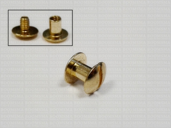 Chicago screws gold nr. 9  (per 10 pcs.) - pict. 2