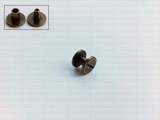 Chicago screws antique brass plated nr. 5  (per 10 pcs.) - pict. 2