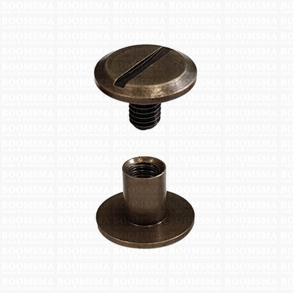 Chicago screws antique brass plated nr. 5  (per 10 pcs.) - pict. 1