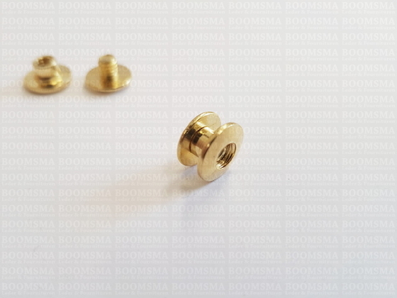 Chicago screws gold nr. 0  (per 10 pcs.) - pict. 3