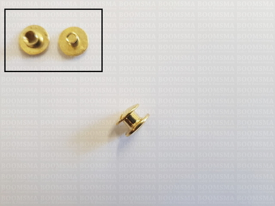 Chicago screws gold nr. 1  (per 10 pcs.) - pict. 3