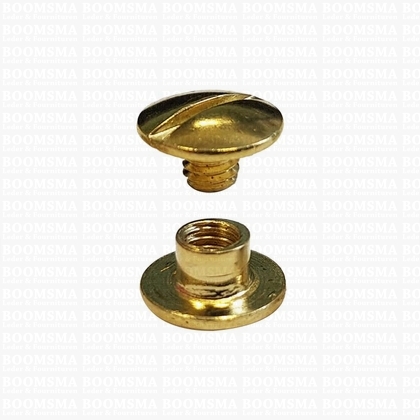 Chicago screws gold nr. 1  (per 10 pcs.) - pict. 1
