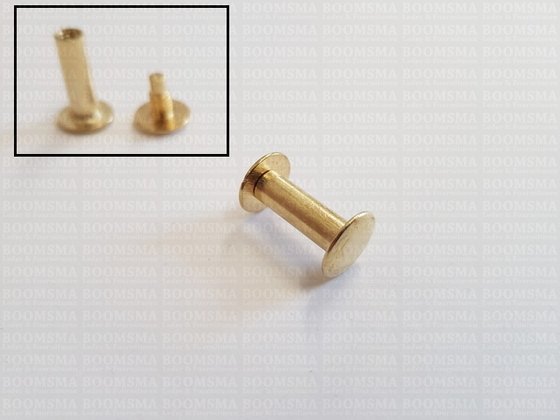 Chicago screws gold nr. 2  (per 10 pcs.) - pict. 2