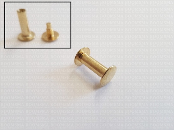 Chicago screws gold nr. 2   A= screw-head Ø 10 mm, B= screw-tube length 15 mm, C= Ø 5 mm  (per 10 pcs.) - pict. 2