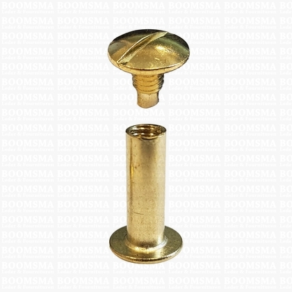 Chicago screws gold nr. 2  (per 10 pcs.) - pict. 1