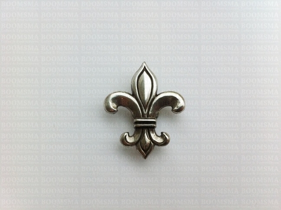 Concho: Celtic conchos screwback silver French lily 'Fleur des Lis' 22 × 32 mm - pict. 2