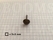 Domed stem studs antique brass plated Ø 12 mm (per 10 pcs) - pict. 2