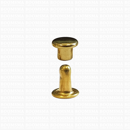 Rivets: Rivets 00/2 double cap gold 00/2 per 100 - pict. 1