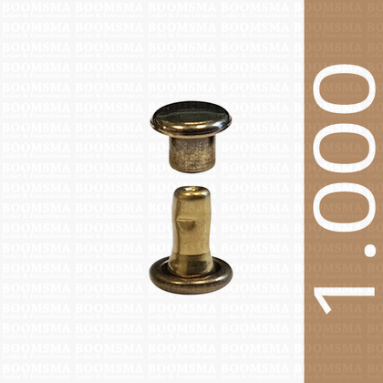 Rivets: Rivets 00/2 double cap antique brass plated 00/2 per 1.000 - pict. 1