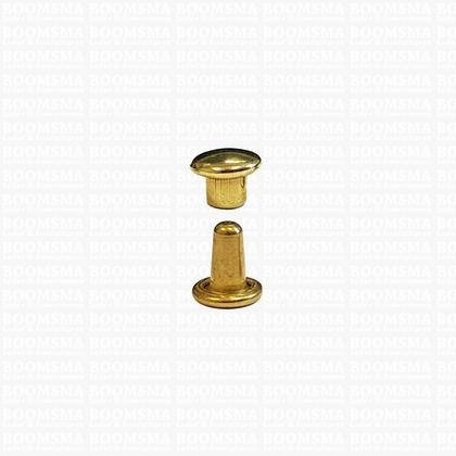 Rivets: Double cap rivets 000/2 gold cap Ø 5 mm, pin 4,5 mm, 2 mm width (per 100) - pict. 1