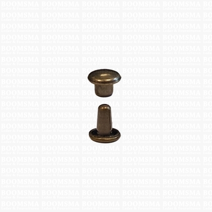 Rivets: Double cap rivets 000/2 antique brass plated cap Ø 5 mm, pin 4,5 mm, 2 mm width (per 100) - pict. 1