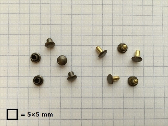 Rivets: Double cap rivets 000/2 antique brass plated cap Ø 5 mm, pin 4,5 mm, 2 mm width (per 100) - pict. 2