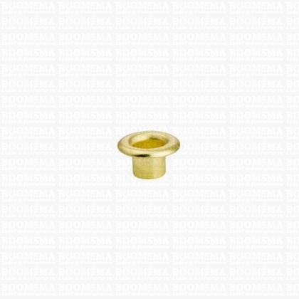 Eyelets: Eyelet or grommet (fit eyeletsetter) gold Eyelet 3/16 inch small, 8 × 4 × 6 mm (width × hole × tube) (per 100) - pict. 1