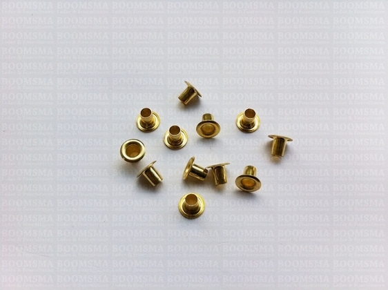 Eyelets: Eyelet or grommet (fit eyeletsetter) gold Eyelet 3/16 inch small, 8 × 4 × 6 mm (width × hole × tube) (per 100) - pict. 2