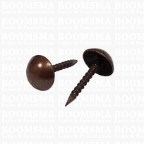 Decorative nails brons cap Ø 9 mm, lengte of the nail 15 mm (10/pk)